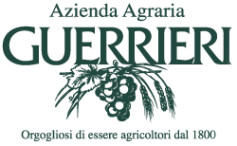 Gli uomini