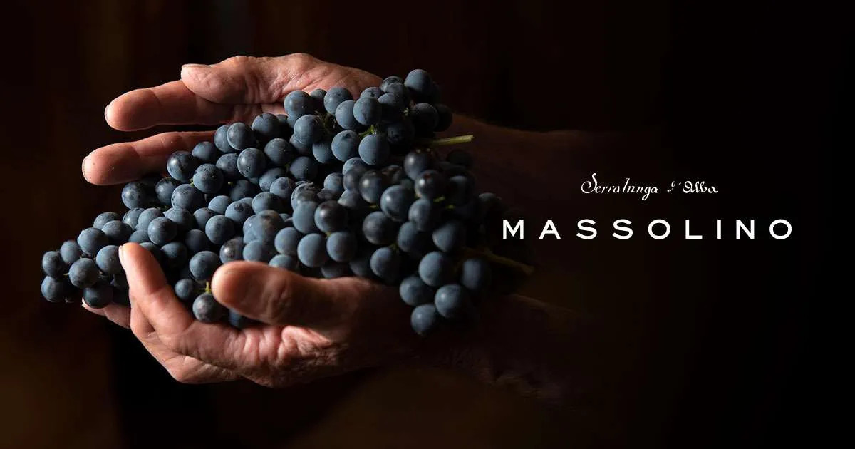 Massolino