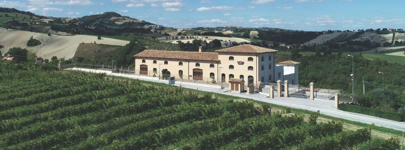 Tenuta Musone  Colognola winery