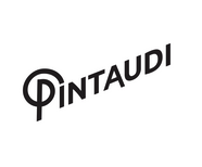 Pintaudi