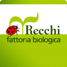 Organic farm Recchi