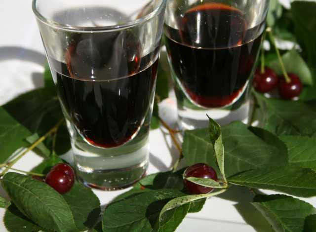 Vino di visciola, tradizione in bottiglia