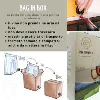Bag in Box Rotwein Merlot Marche IGT von Italienische Provima Kellern