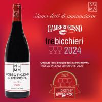Red wine Piceno Superiore Numa winery - BIO