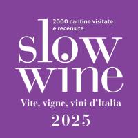 San Nicolo Verdicchio Castelli Jesi DOC Classico Superiore cantina Campanelli