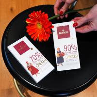 Domori tavoletta linea blend Criollo 90% - 50 gr