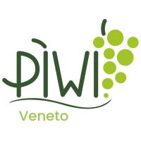 Intonato Venezia Giulia IGT Piwi Meavitis - BIO