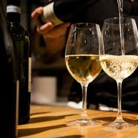 Assaggi di vini- Corso di degustazione vini marchigiani
