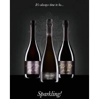 BRUT Sparkling wine STEFANO ANTONUCCI classic method