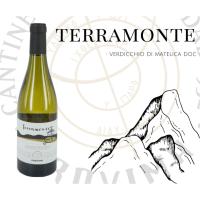 TERRAMONTE Verdicchio di Matelica DOC provima cellars white wine CRU