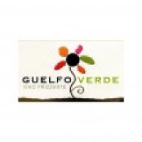GREEN GUELFO Garofoli Natural sparkling white wine Marche IGT