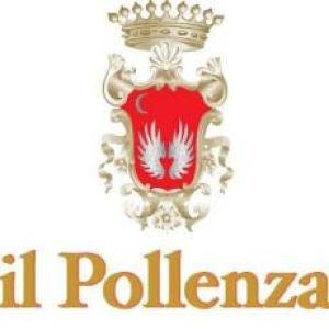 Il Pollenza wine cellar, a sincere passion for the land