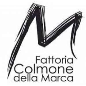 Fattoria Colmone of Marca