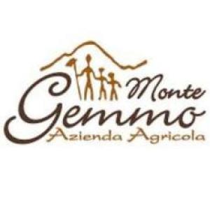 Monte Gemmo dal 1904