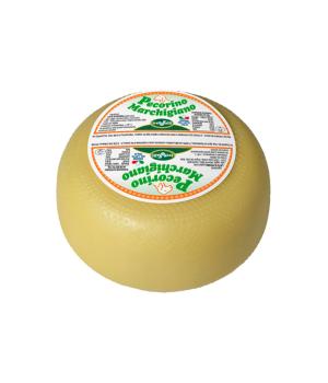 PECORINO TreValli 1,65 kg Typical Marche cheese