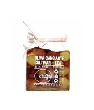 Olive Cangiante Gregori Cultivar Lea in salamoia al naturale
