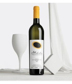 Il Merlo Albino Merlot IGT vinified white by Fattoria Colmone della Marca