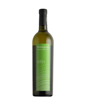 Terravignata Verdicchio di Matelica DOC cantina Borgo Paglianetto - BIO