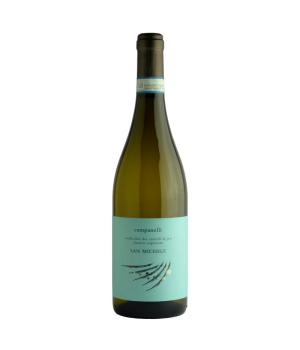 San Michele Verdicchio Castelli Jesi DOC Superiore cantina Campanelli