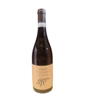 San Nicolo Verdicchio Castelli Jesi DOC Classico Superiore cantina Campanelli