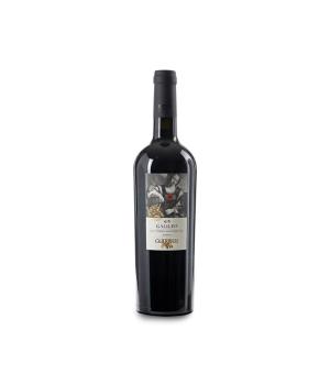 Galileo Riserva Colli Pesaresi Sangiovese DOC azienda Guerrieri