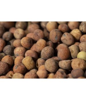 Roveja legume secco Carlo Medei