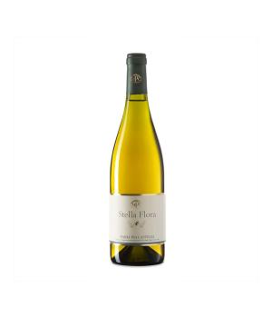 Stella Flora Marche Bianco IGT winery Maria Pia Castelli