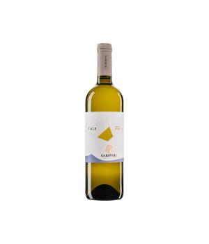 Gale Falerio Pecorino Doc Garofoli bianco da bere giovane
