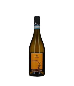 Domine Pievalta Verdicchio di Jesi DOC - BIO