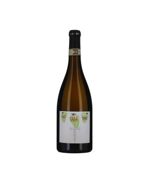 Io sono Gaia Le Caniette Offida Pecorino DOCG bianco barricato