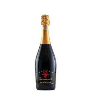 Vernaccianera spumante rosso dolce Serrapetrona DOCG cantina Terre di Serrapetrona