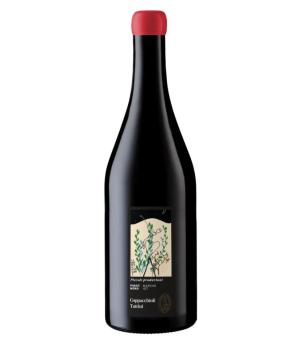 Piccole Produzioni Marken Rotwein IGT Pinot Noir Coppacchioli Tattini