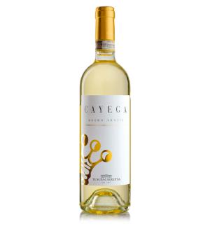 Cayega Roero Arneis DOCG Tenuta Carretta