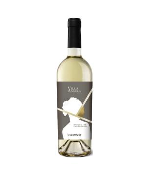 VILLA ANGELA Chardonnay Velenosi Marche IGT vino bianco