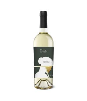 VILLA ANGELA Velenosi Passerina Marche IGT vino bianco del Piceno
