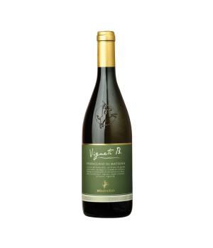 Vigneti B Verdicchio di Matelica DOC cantina Belisario - BIO