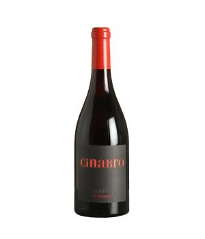 CINABRO Marche Rosso IGT Le Caniette winery