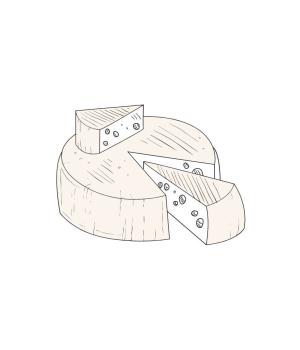 PECORINO semistagionato formaggio tipico marchigiano
