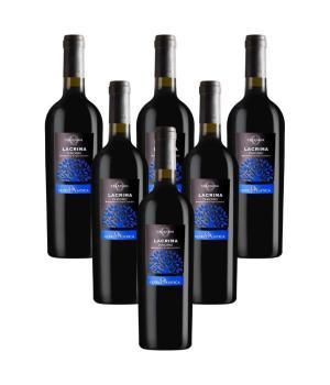 6 Flaschen Lacrima di Morro DOC Velenosi Rotwein Italien