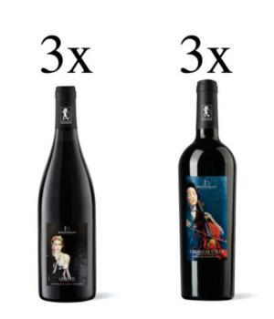 6 bottiglie vini Bastianelli  degustazione 3 Cheto + 3 Chiave di volta