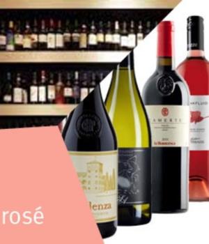 Auswahl an Marche Rosato Frauenlieblingswein!