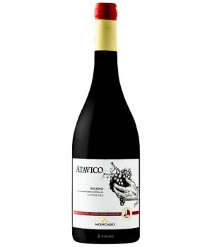 ATAVICO Moncaro Organic red wine without sulphites Piceno DOC Superior