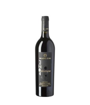Seduction red wine Marconi Lacrima di Morro d'Alba Superiore DOC