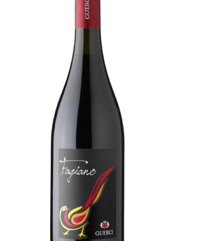 Fagiano Barbera Provincia di Pavia IGT cantina Guerci