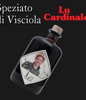 Lu Cardinale Speziato di Visciola (amaro/vermouth) Cantine del Cardinale