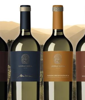 la MONACESCA Auswahl von 6 hochwertigen Weinen aus dem Weingut Marken