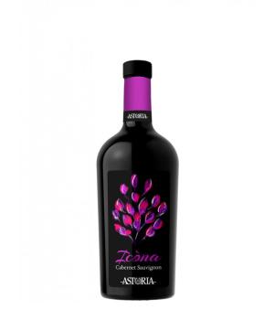 Icona Cabernet Sauvignon Venezia DOC Weingut Astoria