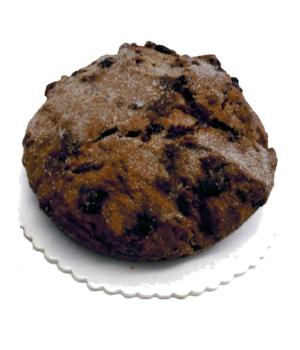 Pan Nociato with chocolate chips a typical sweet traditional baked from the Marche Nemo