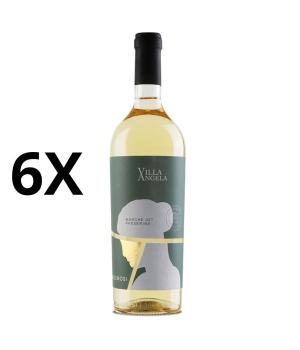 6 bott PASSERINA Villa Angela Marche IGT Velenosi white wine