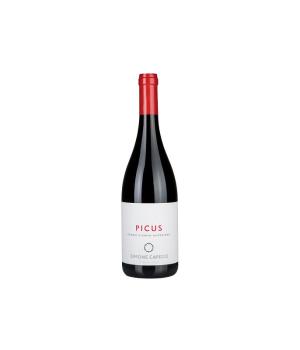 Picus Capecci  Simone Rosso Piceno Superiore DOC - BIO